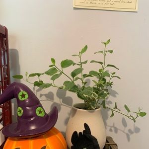 Meet your Posher, Charisma